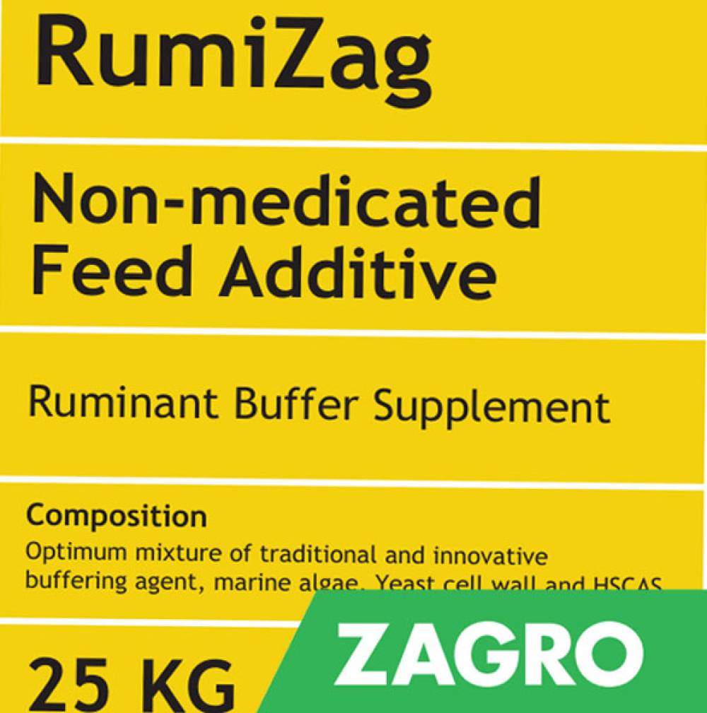 RUMIZAG